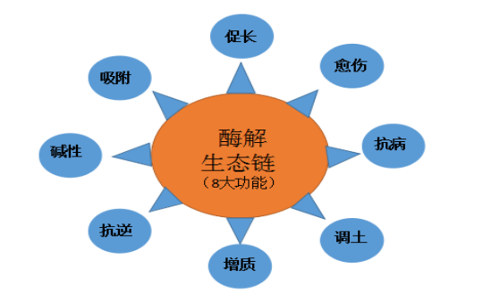 1525240927289404.png blob.png