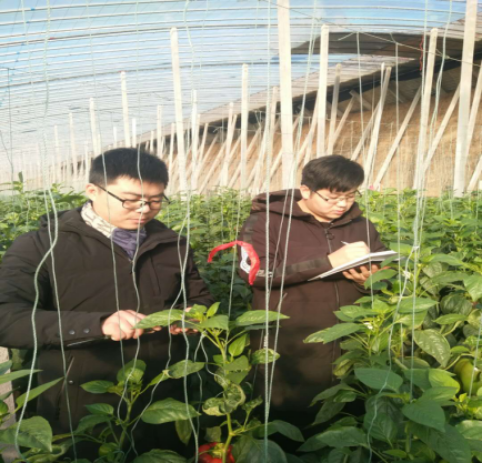 1525659633496876.png blob.png