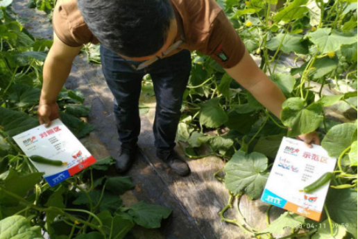 1525659718252094.png blob.png