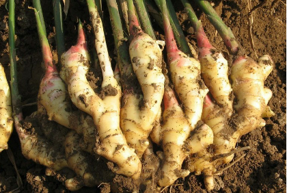 1553071002116641.png 1553071002116641.png