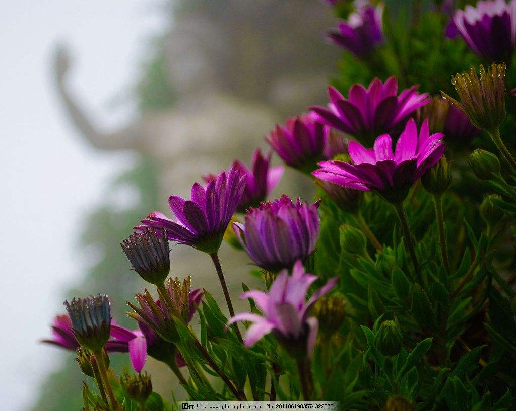 1553073862453210.png 1-5.png