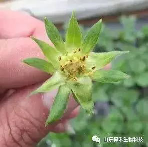 1553129637130876.png 1553129637130876.png