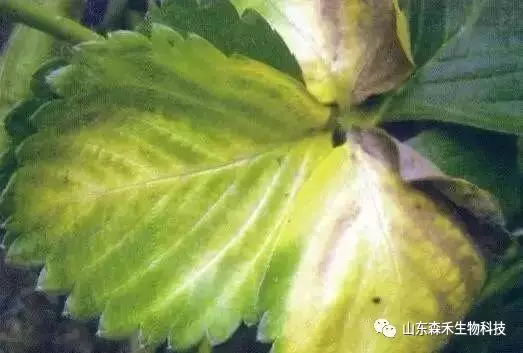 1553129755110010.png 1553129755110010.png