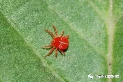 1553129906135760.png 1553129906135760.png