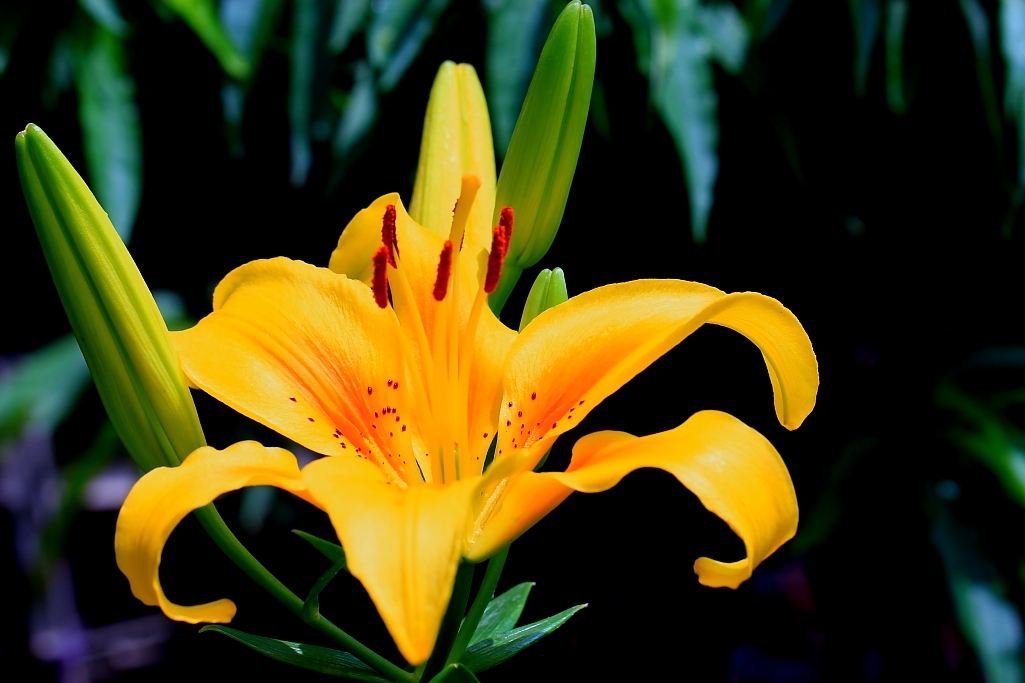 1553131724777326.png 1-3.png