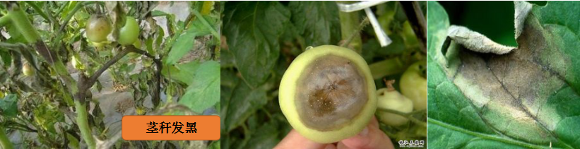 1554110509123385.png 1554110509123385.png