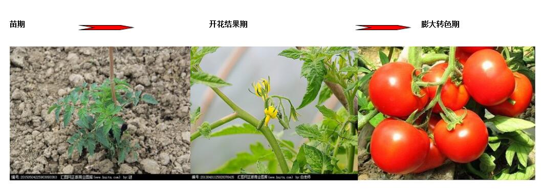 1557195482325449.jpg 1557195482325449.jpg