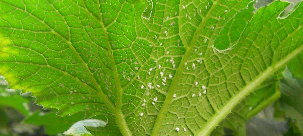 1561778975149406.jpg 病號5.jpg