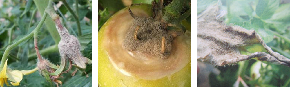 1561787977107342.jpg 1.jpg