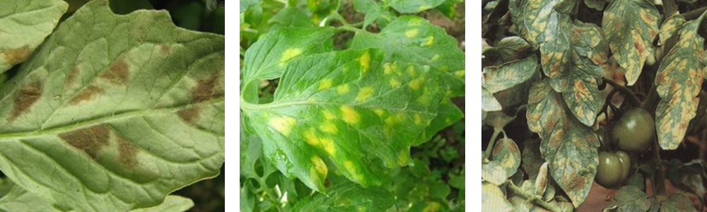 1561788187130054.jpg 2.jpg