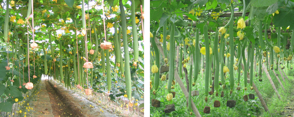 1561789938207413.jpg 6.jpg