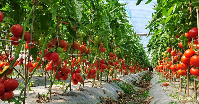 1562046877139289.jpg QQ圖片20190702132733.jpg