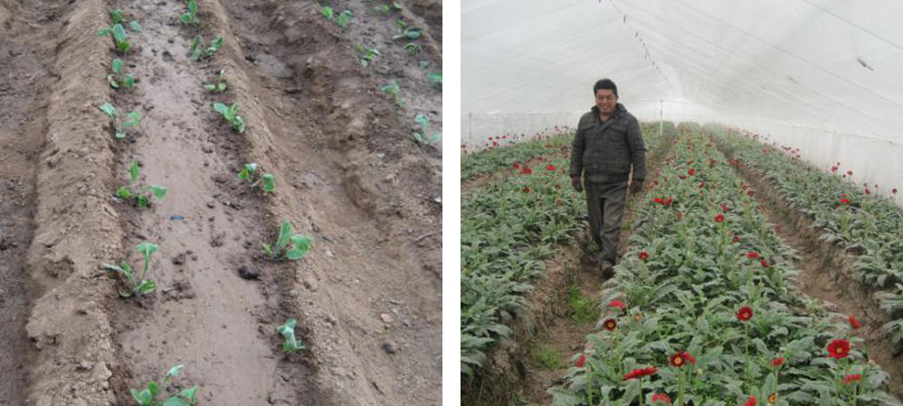 1562053104116616.jpg QQ圖片20190702153718.jpg