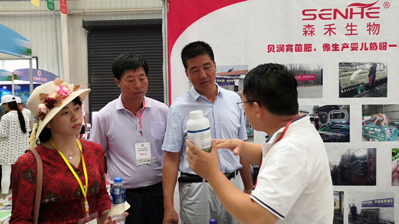 1565164055533367.jpg 1.jpg