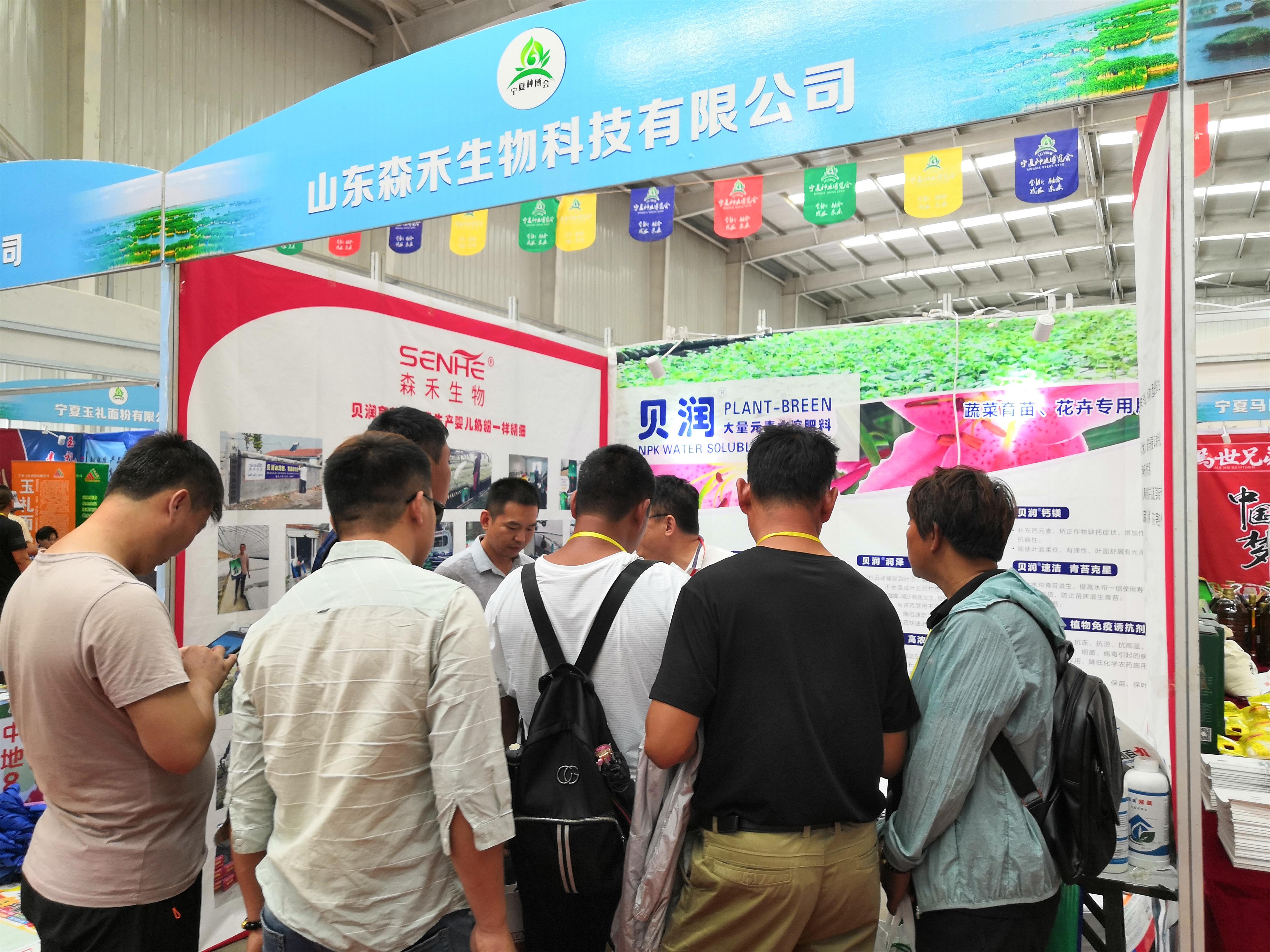 1565164712269582.jpg 5.jpg