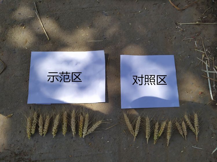 1592378903405074.jpg 23.jpg